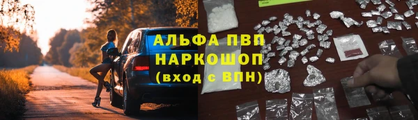 шишки Баксан