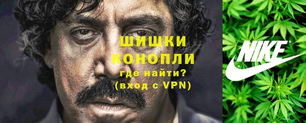 шишки Баксан