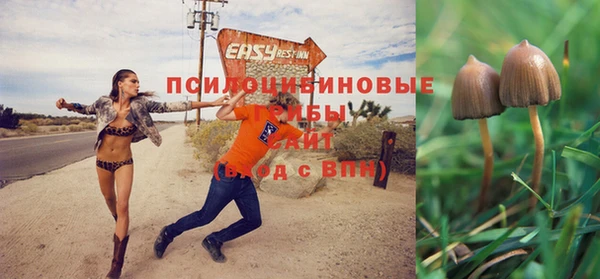 a pvp Балабаново